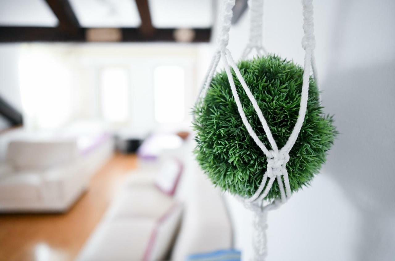 Apartments Bazilika Novalja Εξωτερικό φωτογραφία